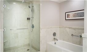 Executive Suite Shower Bath